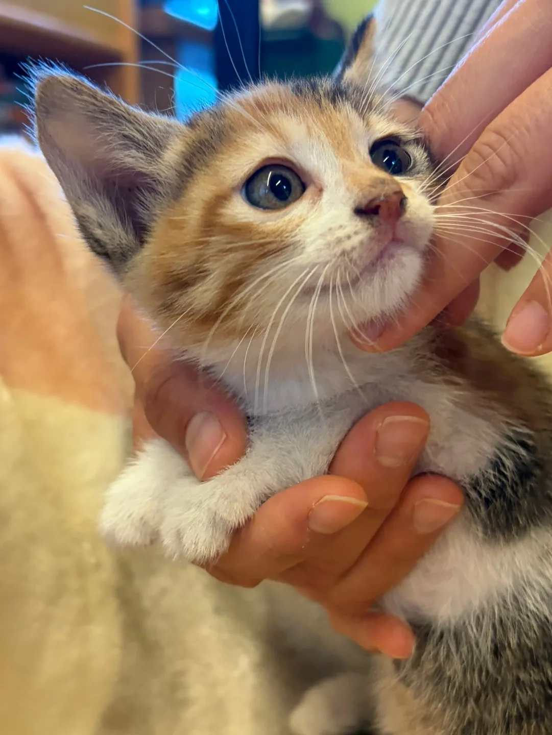산이로 사진 1