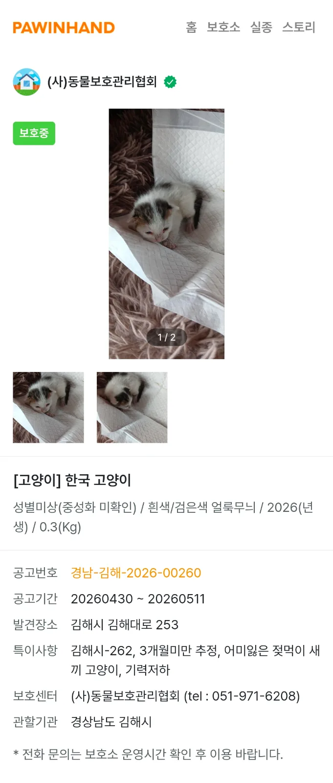길냥이 사진 2