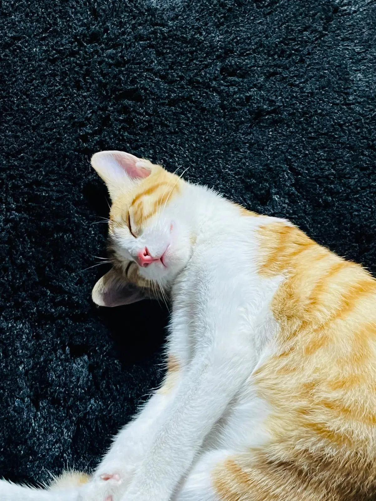 단지 사진 5