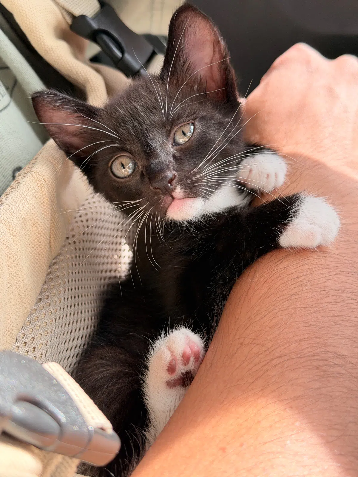 깜둥이 사진 3